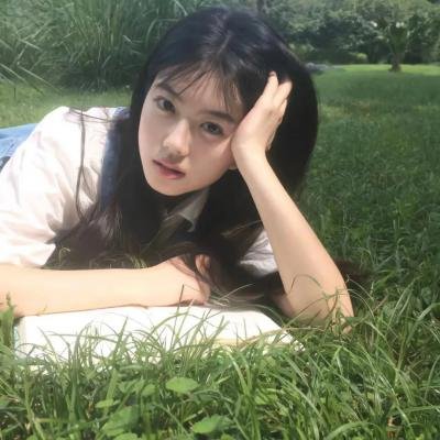 墨菲闹圣诞