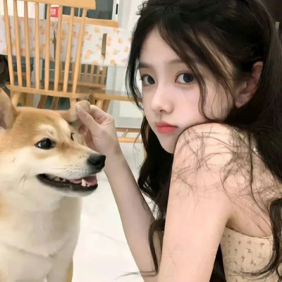 监狱犬计划